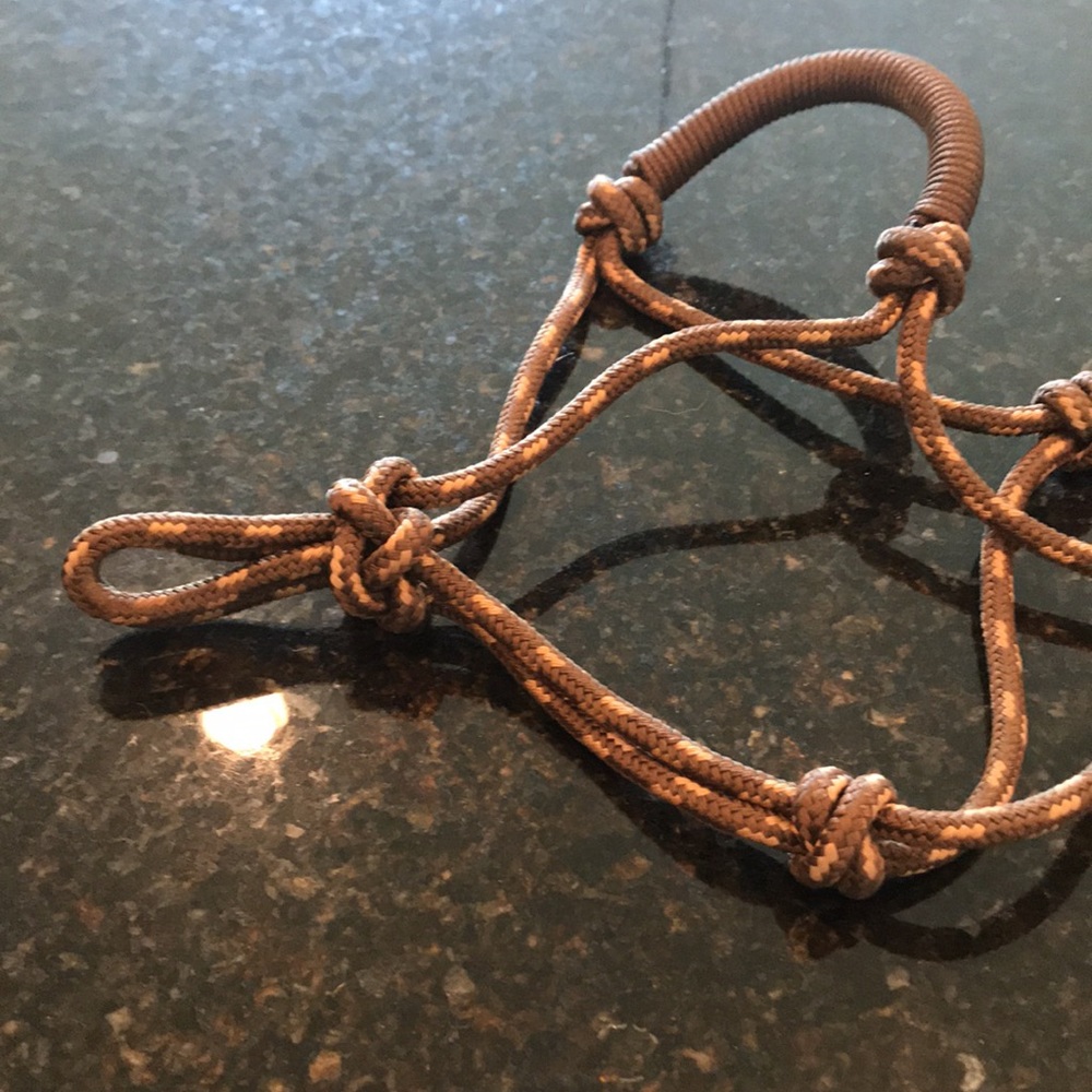 Rope halter - Picture 4 of 4
